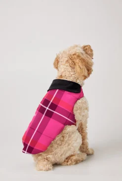 Trina Turk Aurora Plaid Flannel Dog Jacket Multi Hot