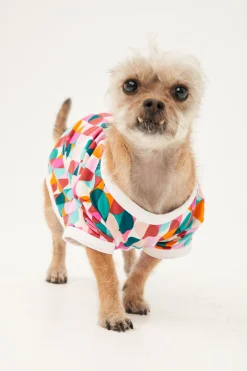 Trina Turk Dancing Dots Jersey Pet Pajama Shirt Multi Sale