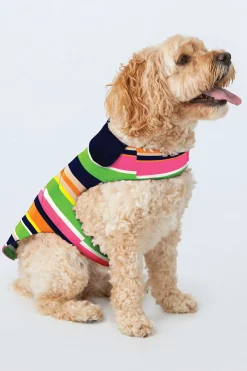 Trina Turk Dog Pajama Shirt - Poolside Stripe Poplin Multi Clearance