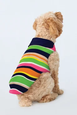 Trina Turk Dog Pajama Shirt - Poolside Stripe Poplin Multi Clearance
