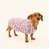 Trina Turk Dog Walk Jersey Pet Pajama Shirt Purple Best