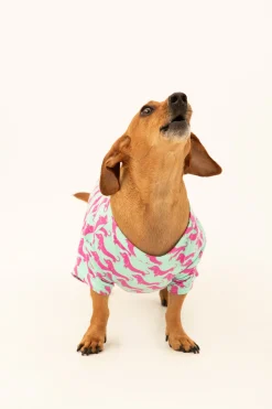 Trina Turk Dog Walk Jersey Pet Pajama Shirt Purple Best