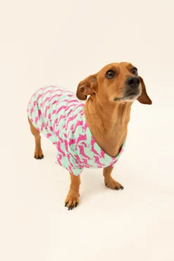 Trina Turk Dog Walk Jersey Pet Pajama Shirt Purple Best