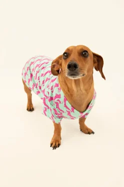 Trina Turk Dog Walk Jersey Pet Pajama Shirt Purple Best