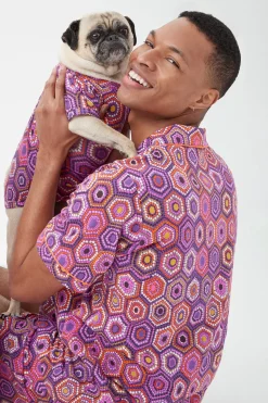Trina Turk Honeycomb Dots Short Sleeve Jersey Dog Pajama Shirt Purple Clearance