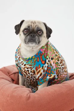 Trina Turk Spray Leopard Short Sleeve Jersey Dog Pajama Shirt Multi Sale