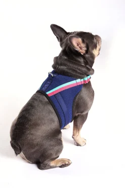 Trina Turk X K9 Harness Indigo Best