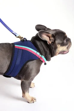 Trina Turk X K9 Harness Indigo Best