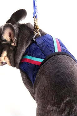 Trina Turk X K9 Harness Indigo Best